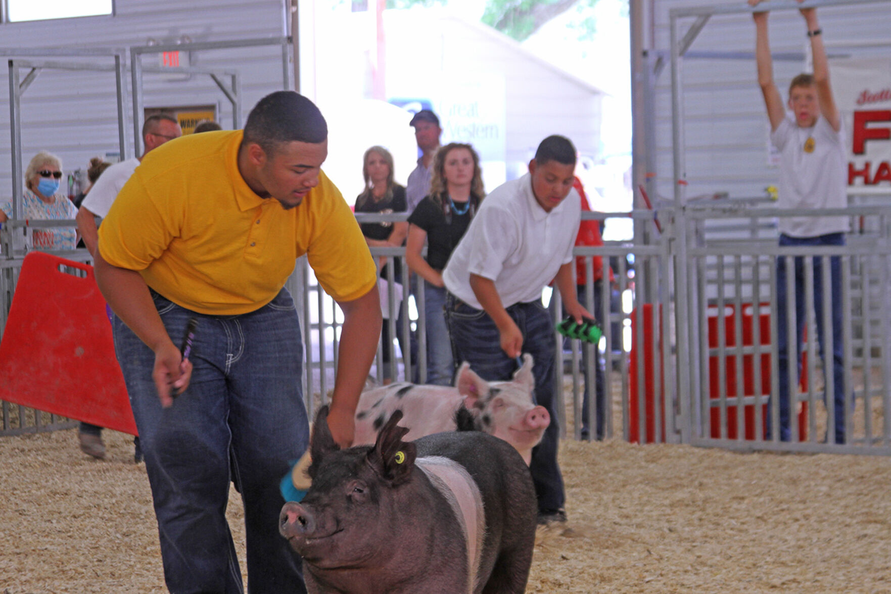 PHOTOS: Scenes from the Scotts Bluff County Fair